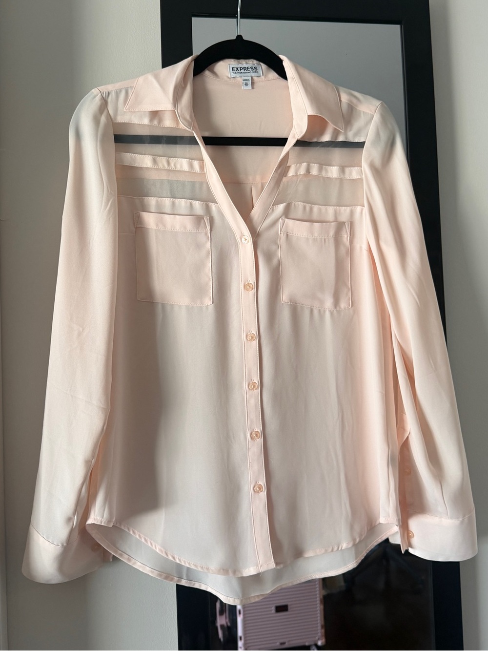 Express Pale Blush Button-Down Blouse with Sheer Trim